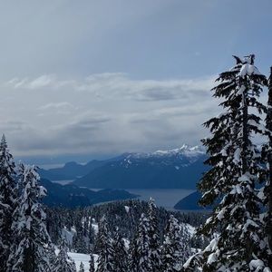 Meet your Posher, Lexie